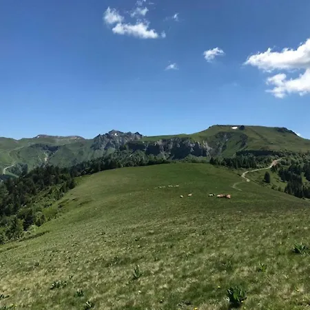 T2 Confortable Centre Mont-dore Avec Wifi - Fr-1-608-221 *