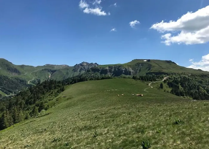 T2 Confortable Centre Mont-dore Avec Wifi - Fr-1-608-221 *