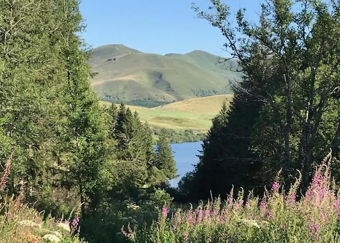 Appartement T2 Confortable Centre Mont-dore Avec Wifi - Fr-1-608-221 Le Mont-Dore